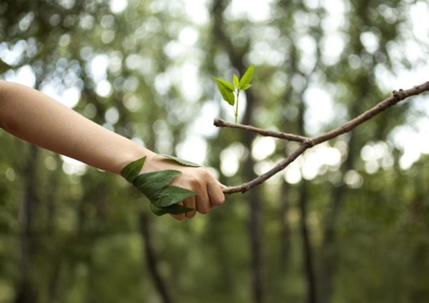 Yeryüzü Vakfı İletişim